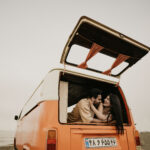 فرمالیته کلاسیک 2